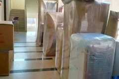 WhatsApp-Image-2026-05-03-at-11.16.58